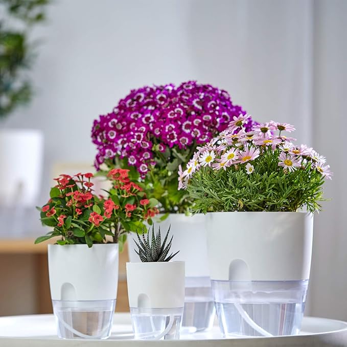6/4.1/3.2 Inch Self Watering Planter Pots, 5 Pack African Violet Pots for Indoor Outdoor Windowsill Gardens, Self Aerating, High Drainage, Deep Reservoir(Gray)