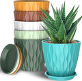6 Pack 6 Inch Indoor Plant Pots with Drainage Holes, Outdoor Plastic Decorative Flower Pots, Garden Planters with Tray Saucers for Orchids, Violets, Succulents, Herbs, and Other Plants