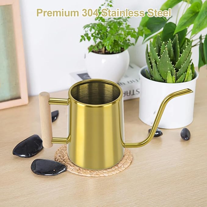 Watering Can Indoor Plants, 35 oz/1000 ml Metal Stainless Steel Watering Can Pot with Long Spout for Indoor House Plants Bonsai Outdoor Garden Flower Decorative (Gold)