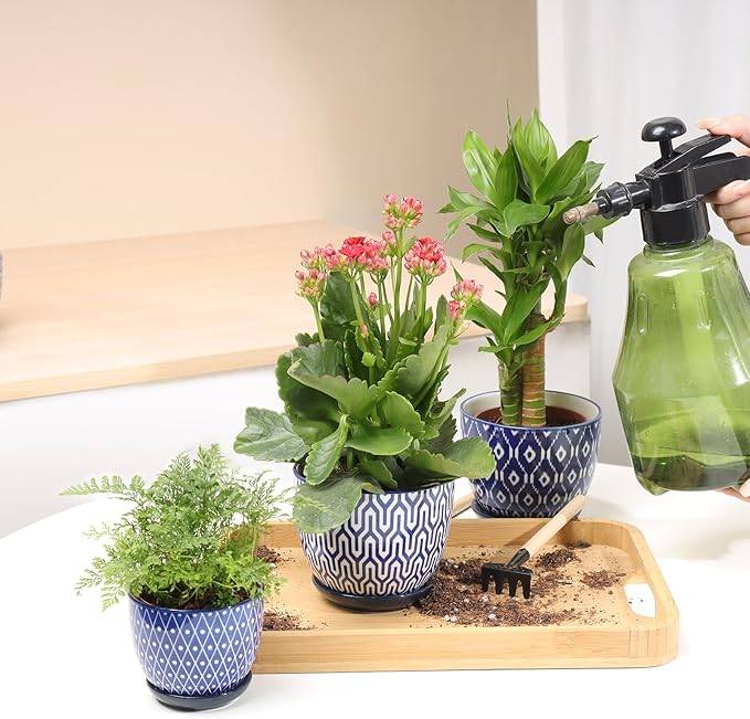 Selamica Ceramic Succulent Pots, 4.6 Inch Small Plant Pots with Drainage Holes & Saucers, Succulent Planters for Indoor Plants Cactus, Home Decor, Set of 6, Vintage Blue