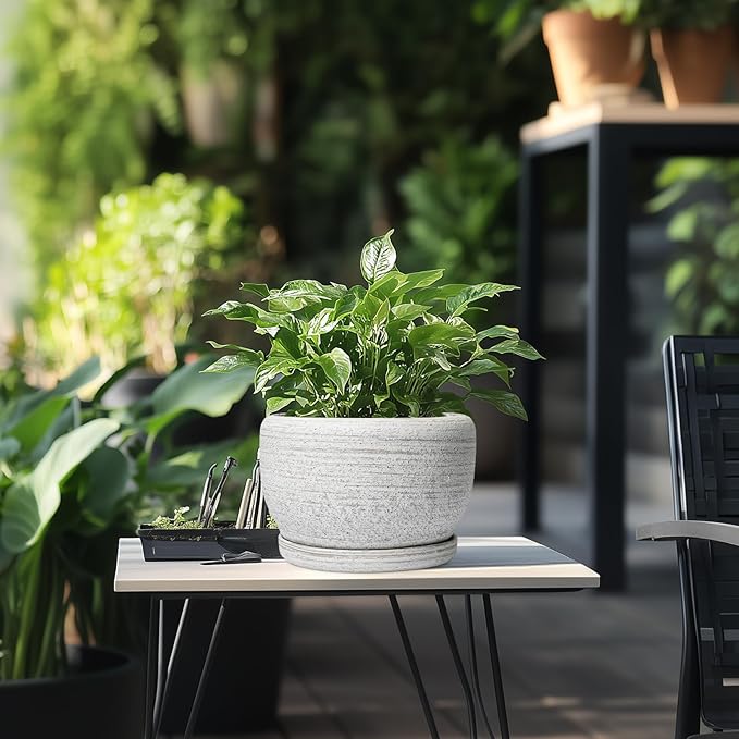 SQOWL Ceramic Plant Pots - 8 inch Planter for Indoor Plants, Round Flower Pot with Drainage Hole and Plant Saucer, Modern Decorative Ceramic Planter Outdoor, Home Room Decor, Garden Gifts, Gray