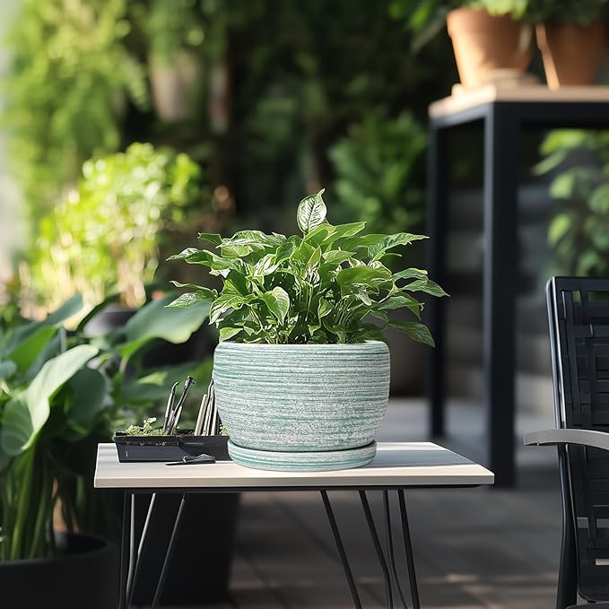 SQOWL Ceramic Planters for Indoor Plants - 8 inch Plant Pot Outdoor, Ceramic Flower Pot with Drainage Hole and Saucer, Round Modern Planter, Living Room Apartment Decor, Birthday Gifts, Green