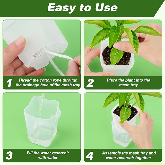 12 Pack Self Watering Pots Set for Indoor Plants, 2.5" Small Clear Self Watering Planters with Watering Holes Plastic Flower Pot with 12 Labels, 12 Ropes
