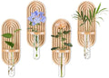 Glasseam Hanging Plant Propagation Stations: Boho Glass Wall Propagation vases Set of 4 - Wood Plant Holder Decorative Planters Terrarium Test Tube for Home Office Indoor Decor