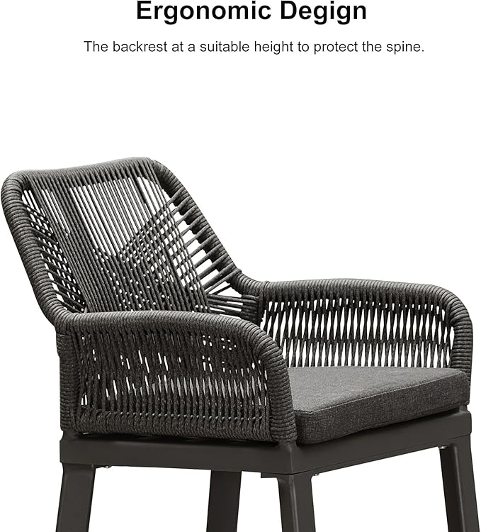 PURPLE LEAF Outdoor 29" Bar Stools Set of 2, Boho Patio Bar Height Chair with Cushion and Back for Outdoor and Indoor, Garden, Patio, Grey