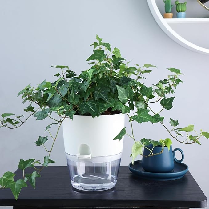 6Inch Self Watering Planter Pots 4 Pack Plant Pot for Indoor Wicking Flower Pots Plant Pots Modern Decorative Planter for Small African Violets House Plants,Herbs,Indoor Outdoor Plant (White)