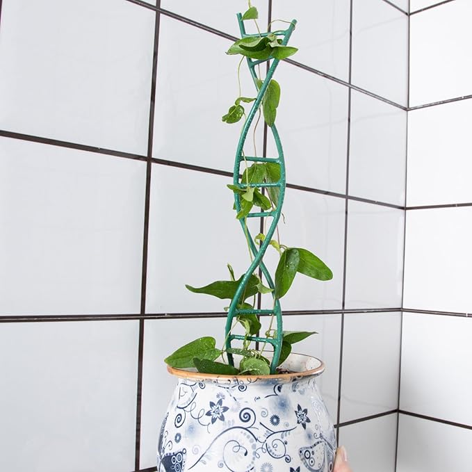 Indoor Plant Trellis for Potted Plants - Upgraded Metal Spiral Design for Climbing Plants, Durable Powder Coated Support for Small Houseplant Pots, Ideal for Indoor & Outdoor Use