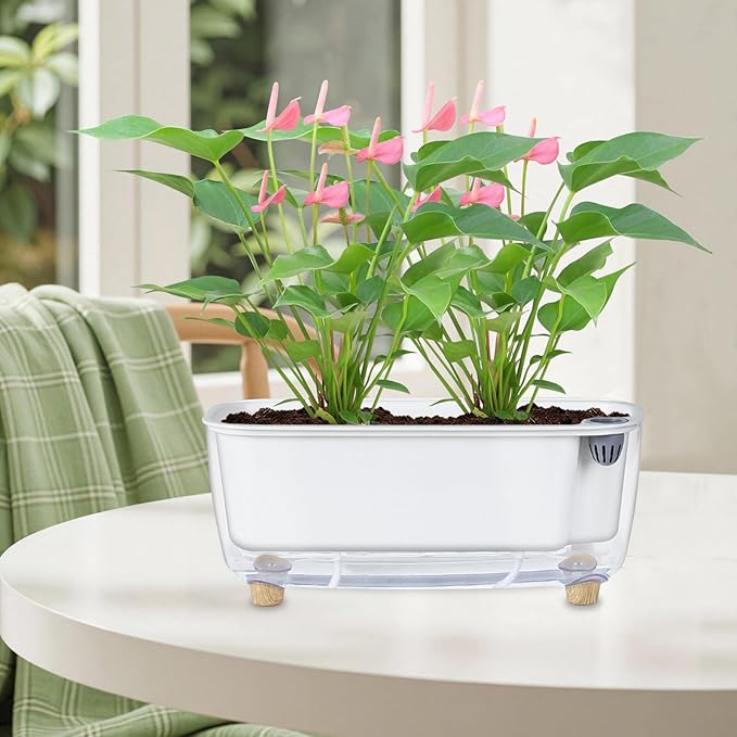 Self Watering Planter with Coco Coir Pellets, 11.8 Inch Plastic Rectangular Windowsill Plant Pot with Drainage Holes, High Clear Modern Decorative Flower Pot for Indoor Plants, African Violets