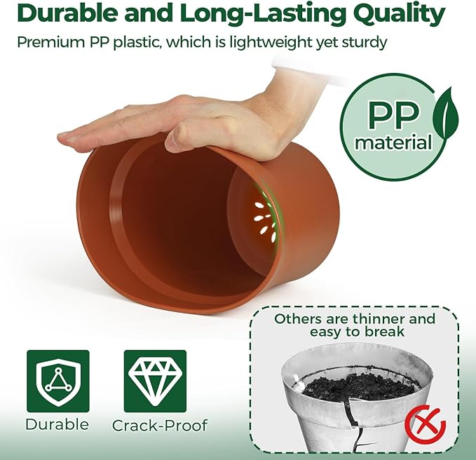 T4U 6 Inch Plant Pot 8-Pack, Plastic Planter with Drainage Hole and Saucer, Decorative Nursery Pots Bulk for African Violet, Snake Plant, Succulent, Herb and Plants Indoor (8 Pcs 6" Pots)