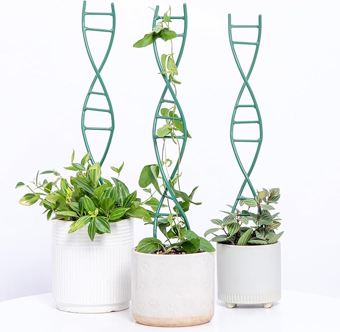 Indoor Plant Trellis - DNA Spiral Design Metal Trellis for Potted Plants, Stylish Climbing Support for Small Houseplants, Durable & Easy to Install Garden Upgrade for Vining Plants