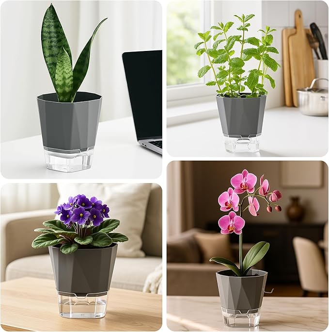 5 Pack Self Watering Pots for Indoor Plants, 6.7 Inches Self Watering Planters African Violet Pots Clear Pots for Herb Orchid Flower Houseplant, Dark Grey
