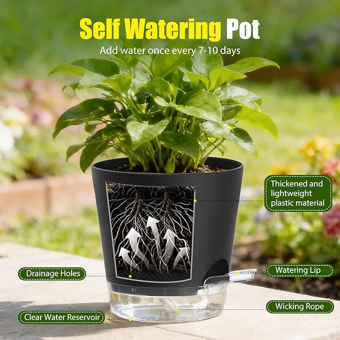 Plant Pots 6 Inch Self Watering Pots,6 Pack Plastic Planters with Drainage Holes and Clear Saucers,Plastic Flower Pots,Nursery Planting Pot for Indoor Out Door Plants (Black)