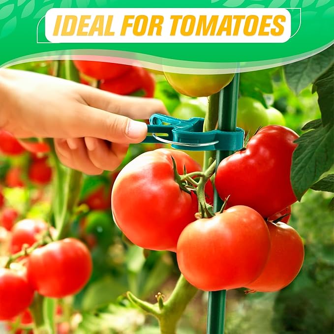 Tomato Plant Support Clips – 60 Pcs Reusable Plastic Garden Clips in 2 Sizes for Upright Growth of Vegetables, Flowers & Vines