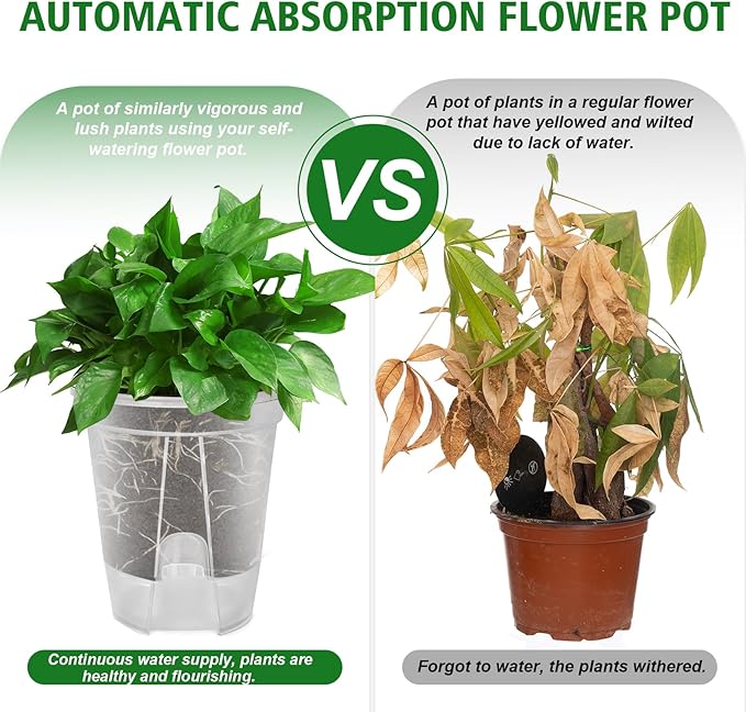 Cdd's Path Large Naked Root Planter Self Watering Pots Set with Holes for Indoor/Outdoor Plants, Planter Pot with Watering Hole/Reservior and Air Pipes (Clear, 8 inch-5 Pack)
