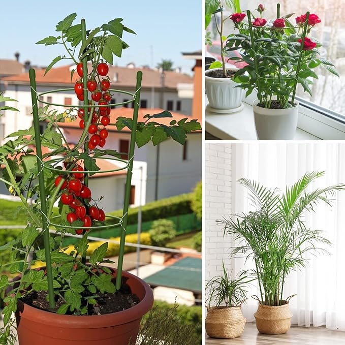 4 Pack Tomato Cage for Garden Plant Support, 24 inches Small Tomato Cages Tomato Trellis with Adjustable Rings, Plant Stakes for Peony Support, Tomato Stakes Rings for Climbing Plants