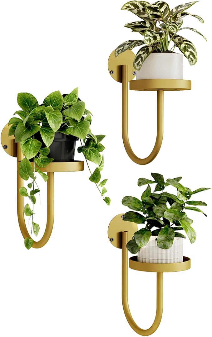 Bamworld Wall Plant Holder Wall Planters for Indoor Plants Plant Hanger Indoor Window Plant Shelves Hanging Plant Holder Window Plant Hanger Plant Decor Golden 3pcs