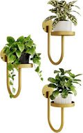 Bamworld Wall Plant Holder Wall Planters for Indoor Plants Plant Hanger Indoor Window Plant Shelves Hanging Plant Holder Window Plant Hanger Plant Decor Golden 3pcs