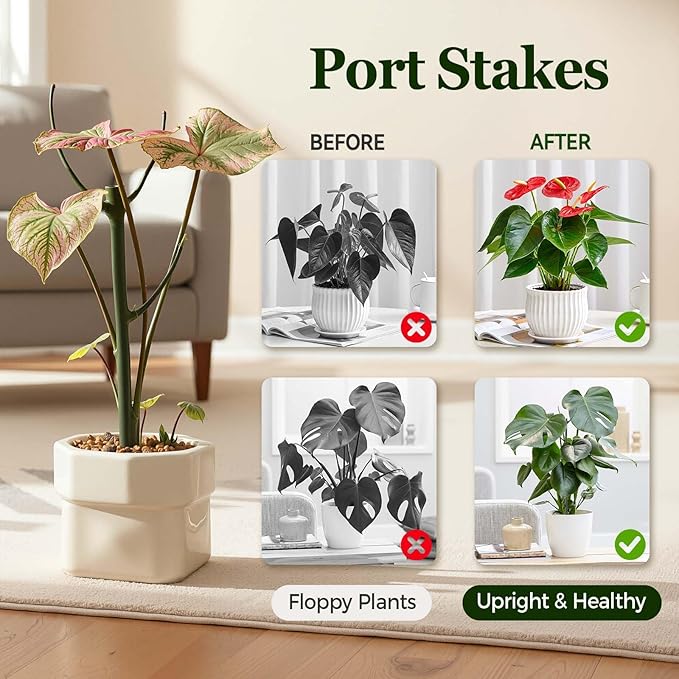 10 Pack Stackable Monstera Plant Support Stakes, Durable Climbing Plant Support Structures for Indoor Outdoor Potted Plants, Garden Stakes for Pothos, Philodendron & Vine Plants