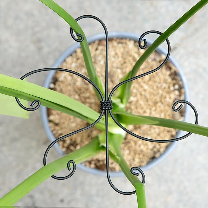 Monstera Plant Stem Support Set - 7.5x7.5 Inch Durable Stabilizers for Indoor Climbing Plants and Leaf Holders - Promote Healthy Growth and Stability (5 Pieces)