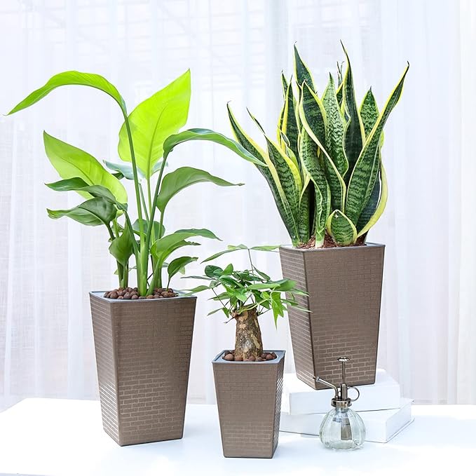 2 Pack Self Watering Planters 10.7" x 6.9" Planter for Indoor Plants Self Watering Violet Pots Plastic Flower Pots Square Planter with a Bag of Clay Pebbles, Bronze