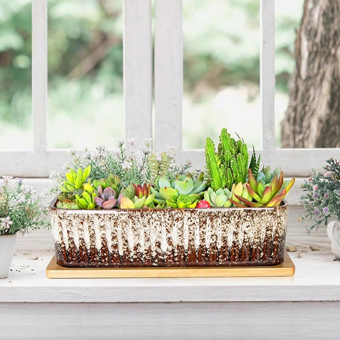 Succulent Pots - 12 Inch Large Succulent Planters with Drainage Tray, Window Sill Planter, Long Rectangle Ceramic Pots for Indoor Cactus Plants Shallow Bonsai Window Box for Home Garden Decor