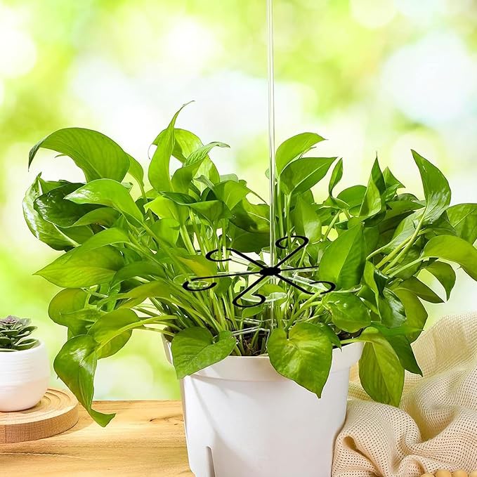 4Pcs Plastic Plant Climbers Stem Holders, Black Climbing Houseplant Stem Supports, 2 Sizes Reusable Flower Plant Stakes Trellis Hook for Indoor Plants Growth Accessories