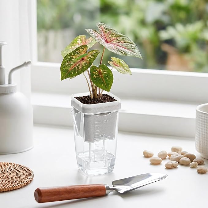 QCQHDU 2 Inch Mini Self Watering Pots for Indoor Plants, 15 Pack Semi Hydroponic Pots, Small Clear Plastic Planters, Drainage Hole, Water Level Indicator, African Violets, Alocasia, Cutting, Seeding