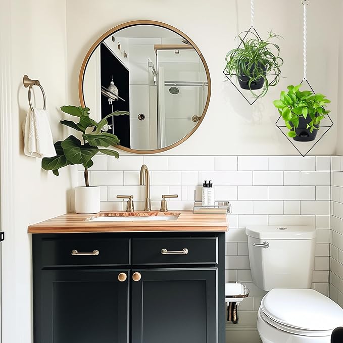 Hanging Planters for Indoor Plants, 2 Set Self Watering Hanging Flower Pots, Modern Hanging Plant Baskets with Metal Plant Holder & 6.5 Inch Plastic Pots for Garden Home Decor (Black)