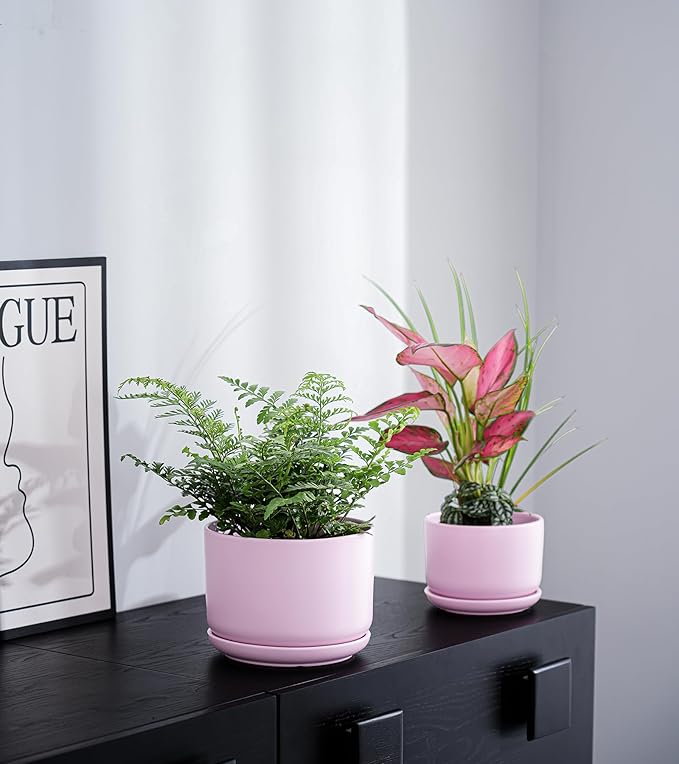 Ton Sin Pink Flower Pots,Ceramic Planter Pot for Indoor Plants,Set of 3 Flower Pot with Drainage Holes and Tray,Cute House Plant Pot for Succulent, Orchid, Cactus(Matte Pink)