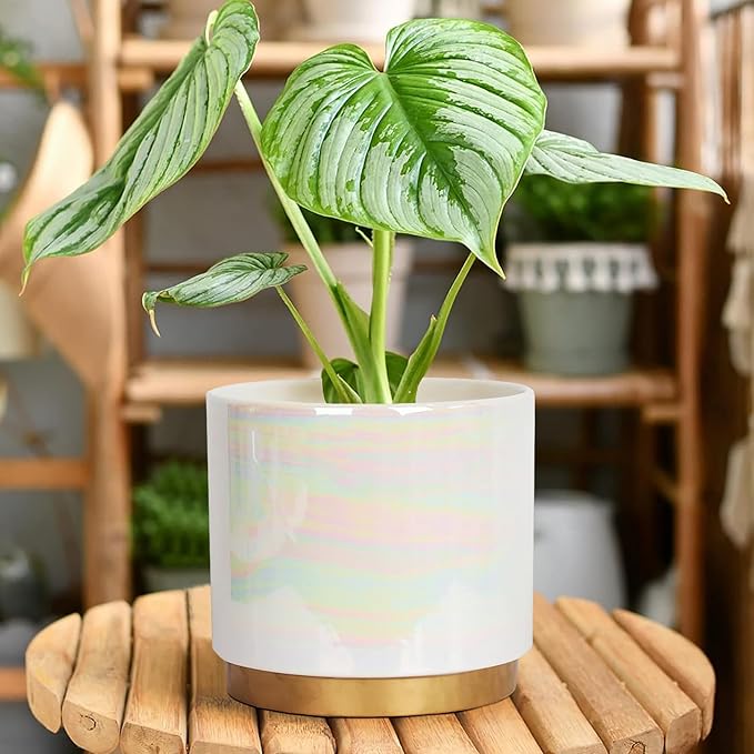 Gepege White Indoor Plant Pots for Plants, Ceramic Planter with Drainage Hole, 7.6 Inch +6 Inch 2pcs Succulent Orchid Flower Pot - Rainbow Pearl Glaze