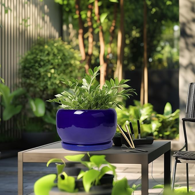 SQOWL Ceramic Plant Pot - 10 Inch Ceramic Planter for Indoor Outdoor, Round Flower Pot with Drainage Hole and Saucer, Modern Decorative Large Planter, Garden Decor, Plant Lover Gifts, Blue