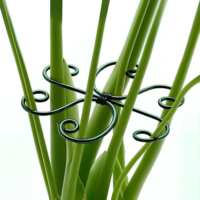 4PCS Green Iron Monstera Support, Uniquely Designed Plant Support Stakes for Indoor Plants, Stable Plant Stakes and Supports, Turtle Shell Bamboo Clamp Set for Thriving Growth