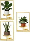 Wall Hanging Plant Stands Planter Shelves, Indoor Outdoor Window Plant Hanger Decor for Living Room Entryway (Gold 3-Pack)