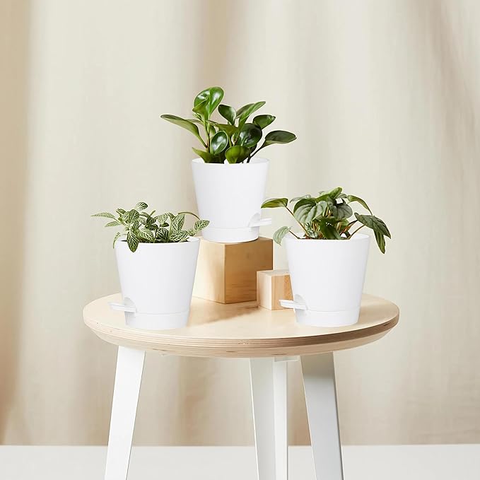5 Pack 5 inch Self-Watering Pots, African Violets Planter with Drainage Holes and Reservoir, White Plastic Planter for Indoor Outdoor Plants Flowers and Houseplants White, 5 inch 5 pcs