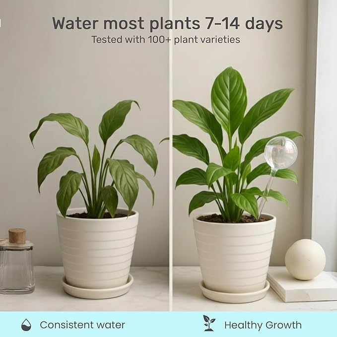 Automatic Plant Watering Globes Self Watering Planter Inserts (Set of 4) | Hands Free Clear Glass Bulbs | Planter Spikes to Support Indoor & Outdoor Plant Health (200ml)