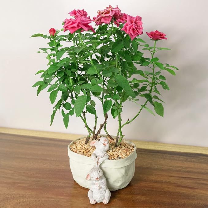 Rabbit Flower Pot Succulent Planter Garden Pots, Easter Decorative Flower Pot,Animal Shaped Cartoon Planter Pots,Art Decorations（with Drainage Hole）