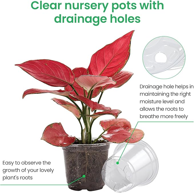 36 Packs 7/5/4/3.5 Inch Reinforced Clear Nursery Pots with Drainage Hole, Transparent Variety Pack Plastic Plant Pot Seedling Planter for Vegetable Propagation, Root Cutting, Seed Starting