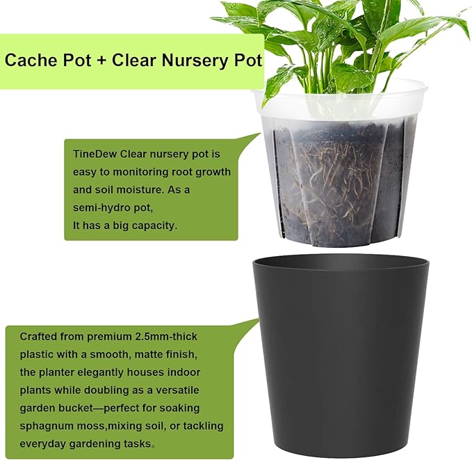 3 Pack of 6in Plastic Cachepot with 6 inch Clear nusery Pot - self Watering Indoor Planter with Drainage for Root Visibility,semi Hydro pots for repotting Orchids,Aroid or Monstera,Black