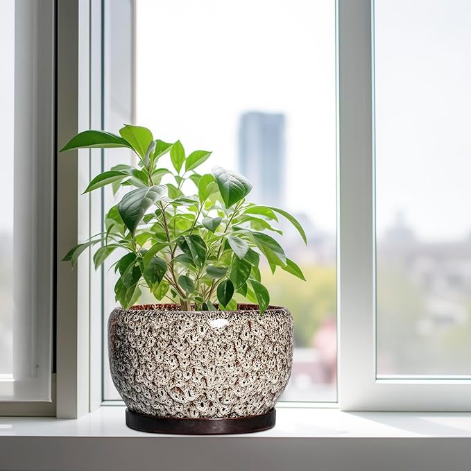 SQOWL Ceramic Plant Pots - 10 Inch Planter for Indoor Plants Outdoor, Large Flower Pots with Drainage Hole and Saucer, Decorative Round Planter, Apartment Decor, Garden Gifts for Women, White
