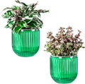 Melphoe Self Watering Pots for Indoor Plants Planter, 5.3 Inch 2 Pack Planters Self Watering Plant Pots for Flower, Houseplants, Succulent, African Violets and Cactus with Drainage