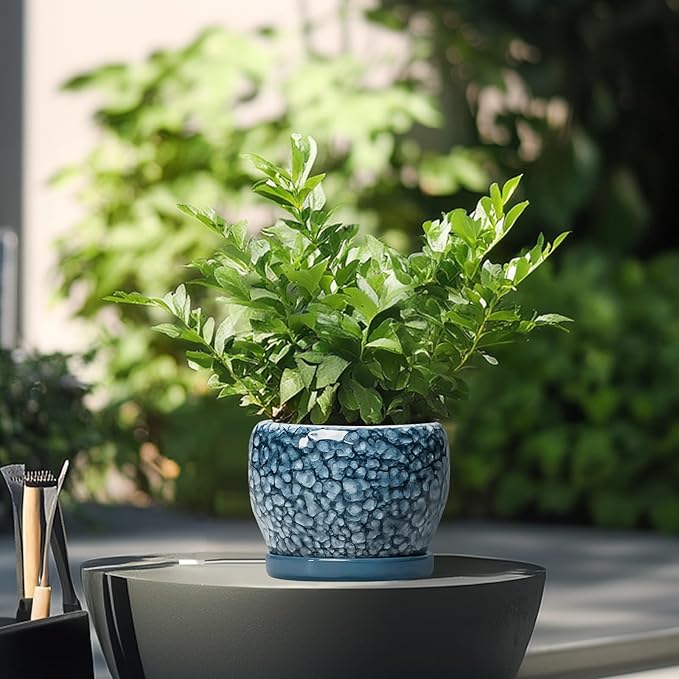 SQOWL Ceramic Pots for Plants - 6 Inch Plant Pot Indoor Outdoor, Ceramic Planter with Drainage Hole and Saucer, Decorative Round Planter, Small Flower Pot, Table Decor, Gifts for Plant Lovers, Blue