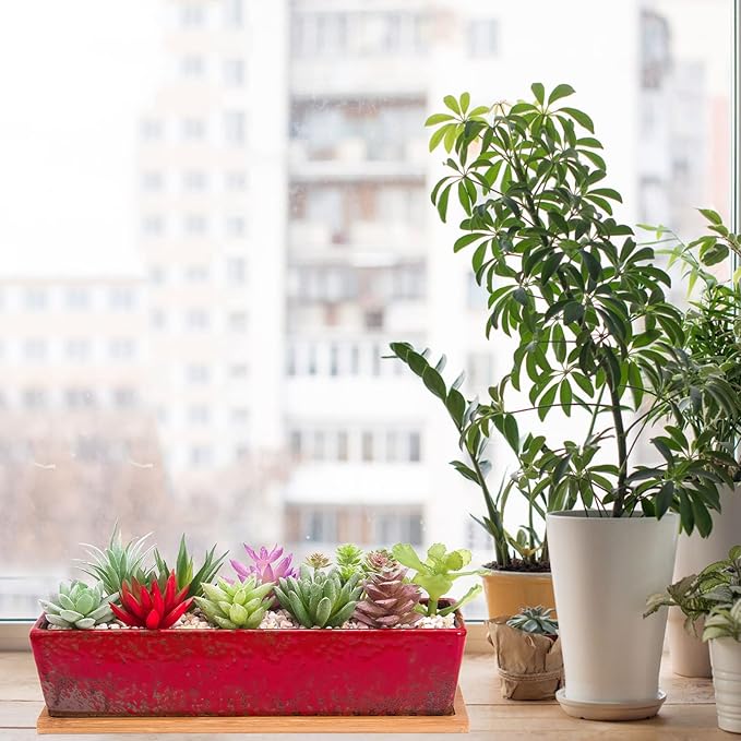 Succulent Pots - Large Succulent Planter Pots with Drainage, 12 Inch Long Rectangle Bonsai Pot with Bamboo Tray Shallow Ceramic Cactus Flower Planter Window Box for Home Garden Decor (Red)