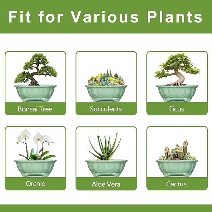 Bonsai Pots 11 Inch - Ceramic Succulent Pots with Drainage Hole, Oval Planter for Indoor Outdoor, Decorative Ceramic Flower Pot, Home Garden Room Decor, Plant Lover Gifts, Green