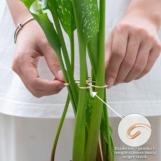 Monstera Plant Stem Support Set - 5 Durable Stabilizers (2.75"x2.75") for Indoor Plants, Leaf Holder & Cactus Stake - Keep Monstera Healthy & Upright - Ideal Gift for Plant Lovers