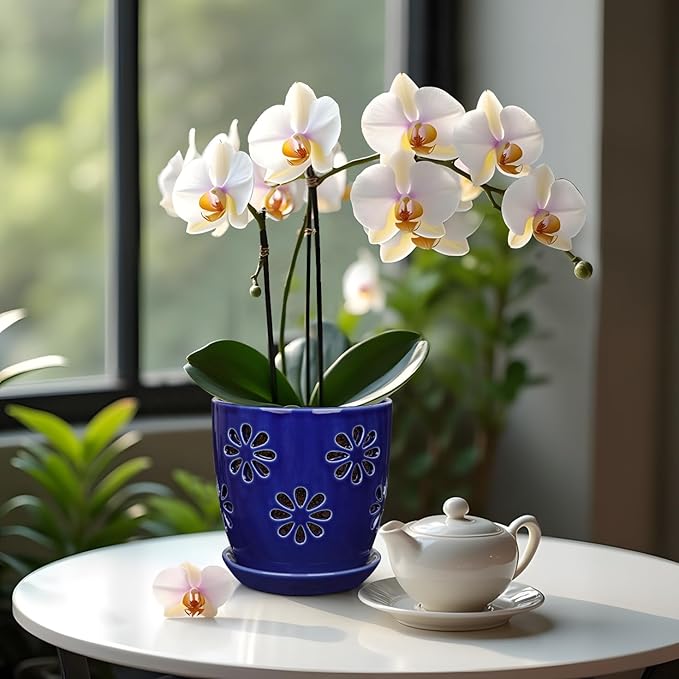 Oairse 6 inch Orchid Pots with Holes, Royal Blue Ceramic Orchid Pot for Repotting Small Indoor Plant Pots with Drainage Holes and Saucers Decorative Flower Planter for Orchids, Indoor Plant