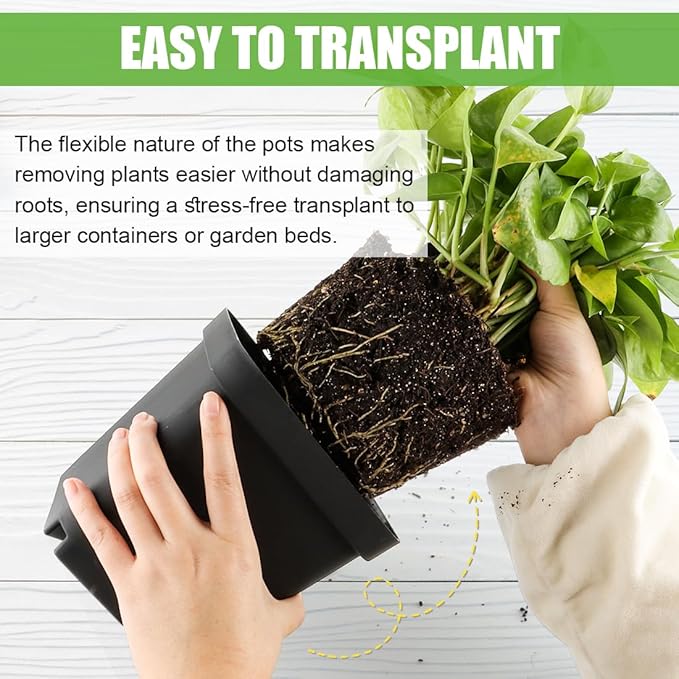 Square Nursery Pots 5.5 Inch, Plastic Plant Pot with Drainage Holes, 30 Pcs Reusable Seedling Starter Pots Garden Flower Pots Planters for Indoor Plants, Transplanting, Succulents, Cuttings
