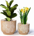 YBX 8 Inch + 6 Inch White Flower Pattern Plant Pots, Sand Glazed Ceramic Planter with Drainage Hole, Flower Pots for Indoor Plants, Tan & White