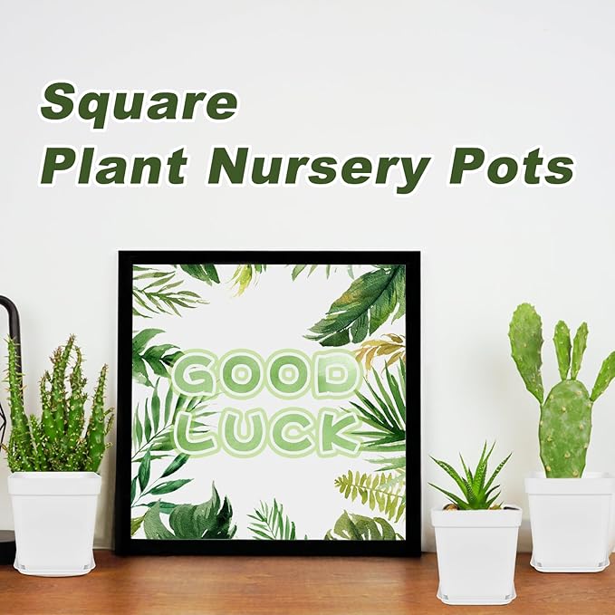 Anyumocz 24Pcs 3" Square Plastic Plant Pots,White Nursery Pots with Saucers,Seedling Nursery Transplanting Planter Container for Plants,Garden,Flower,Home,Office,Balcony Decor,Indoor,Outdoor