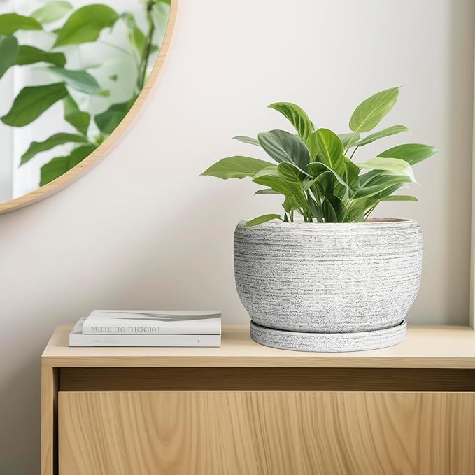 SQOWL Ceramic Flower Pots - 10 Inch Plant Pot Indoor with Drainage Hole and Saucer, Modern Ceramic Planter Outdoor, Decorative Large Round Planter, Bedroom Decor, Plant Lovers Gifts, Gray