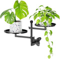 Rotating Window Wall Plant Shelves Indoor Wall Plant Stand Holder 2-Tier Floral Metal Window Shelf Holder for Multiple Plants Space Saving Pet Child Friendly Home Decor Layer Butterfly Design Black